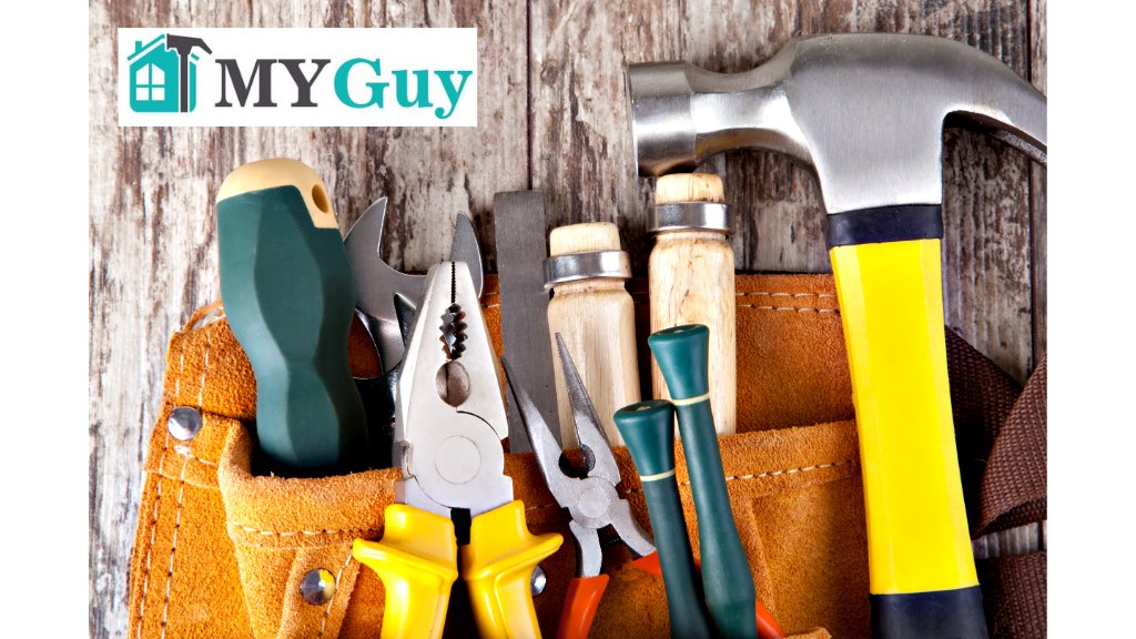 Why Buying a MYGuy Franchise in Auckland Could Be the Best Business Decision You Make